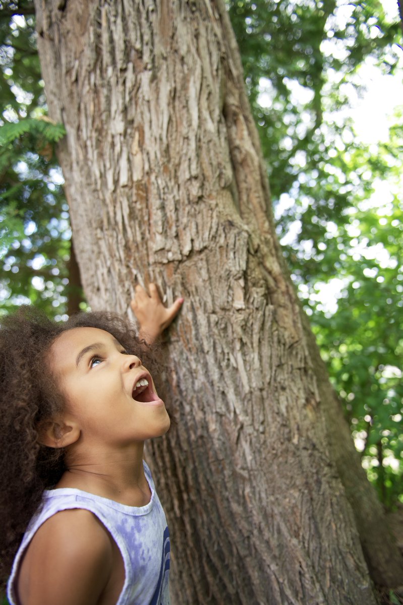 What you see, hear, and experience in nature can improve your mood in a moment. 

#HPHP #StressAwarenessMonth