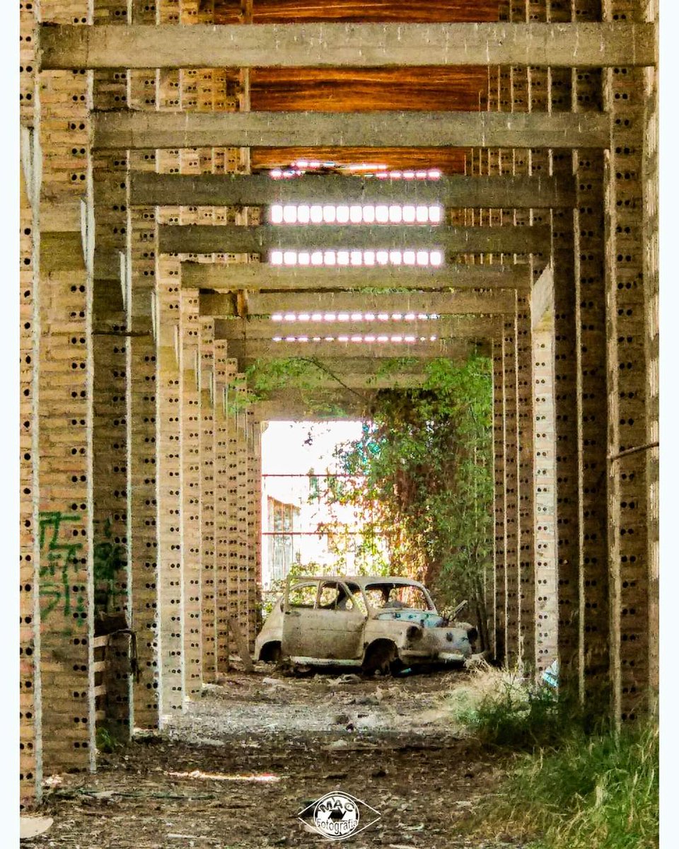 ABANDONO

#abandono #lugaresabandonado #seat #cochesantiguos #cochesabandonados #coches #streetphotography #street #patrimonio #patrimonioagrícola #secadero #macfotografia #fotografia #fotógrafa #photographer #photography #art #car #granada