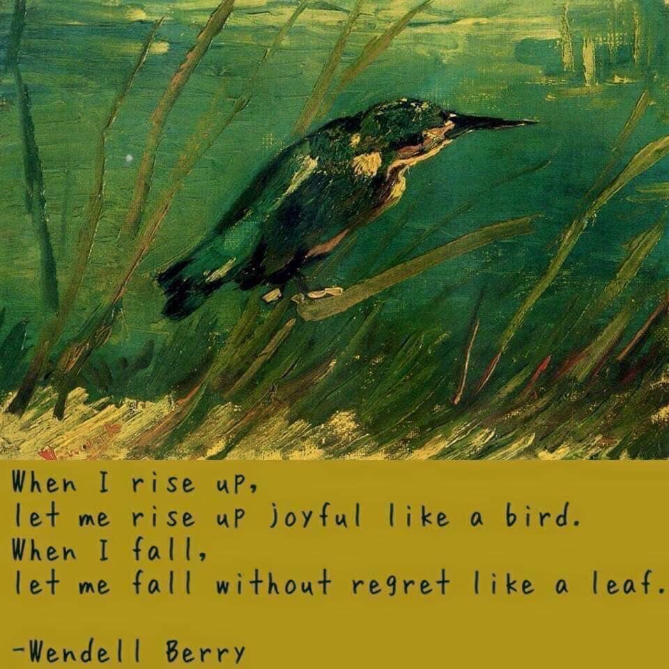 LifeWithJohn's tweet photo. When I rise up, let me rise up joyful like a bird, when I fall, let me fall without regret like a leaf. - Wendall Berry ~ Artwork: Vincent Van Gogh
~ #Inspiration https://t.co/Yfdw0UKyEA