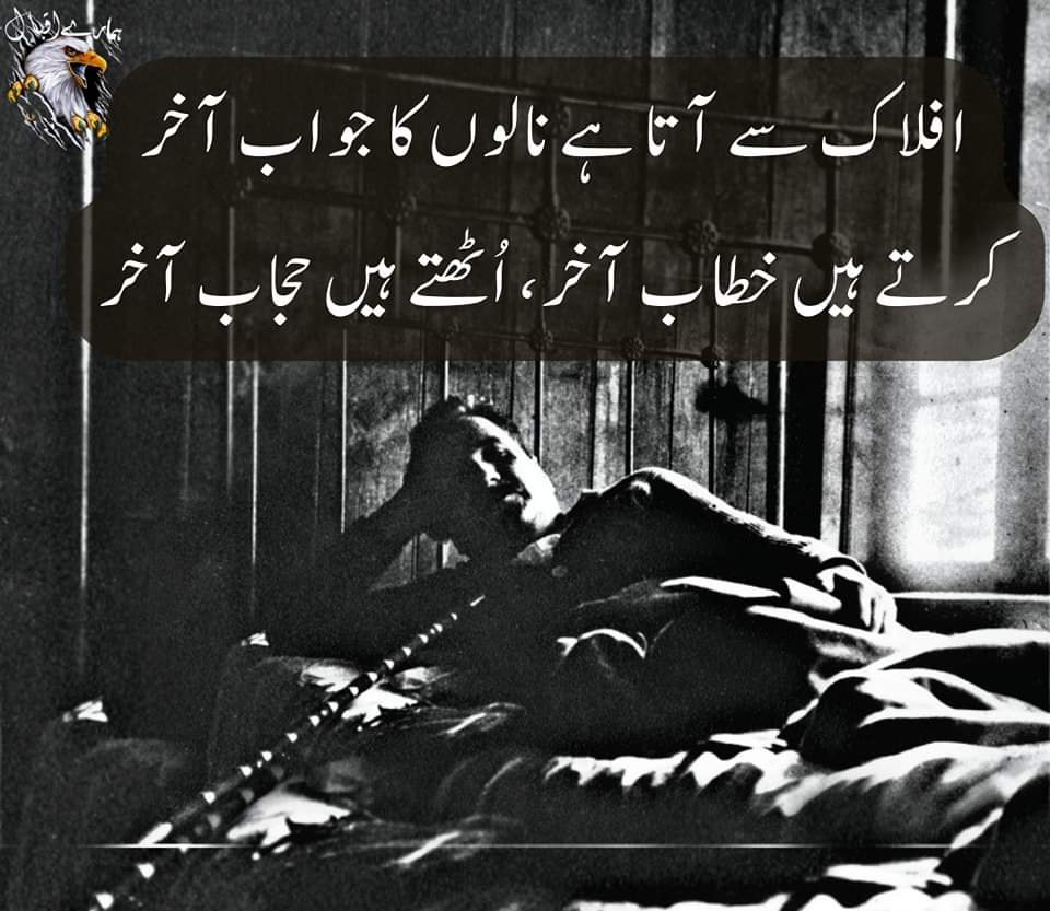 Muhammad334231's tweet photo. آج اقبال کو ہم سے بچھڑے 85 برس ہو گئے، لیکن اقبال آج بھی ہم سب میں زندہ ہیں۔
 ہم تو رخصت ہوئے، اَوروں نے سنبھالی دنیا
 پھر نہ کہنا ہوئی توحید سے خالی دنیا
اللہ پاک درجات بلند فرمائے علامہ اقبال رحمۃاللہ علیہ کے۔ اقبال ایک ہی تھے ان جیسا کوئ نہیں۔
 #allamaiqbal #iqbal #hamaryiqbal https://t.co/DCLAON2Dsc