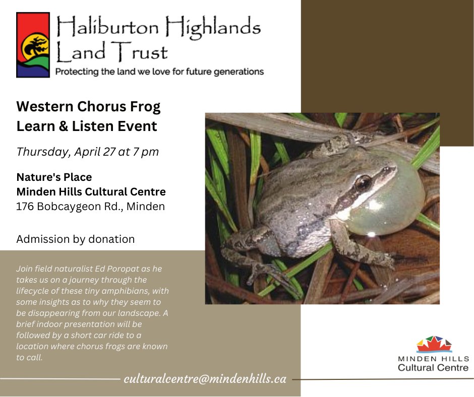twpmindenhills's tweet photo. @HHLandTrust presents: Western Chorus Frog Learn and Listen event at Nature’s Place on Apr 27 at 7 pm. Visit https://t.co/n7WaccaYtd, Media Release 23-21, for more information
#mindenhillsculturalcentre #naturesplace #haliburtonhighlands #chorusfrog https://t.co/E8ynBw6bD7
