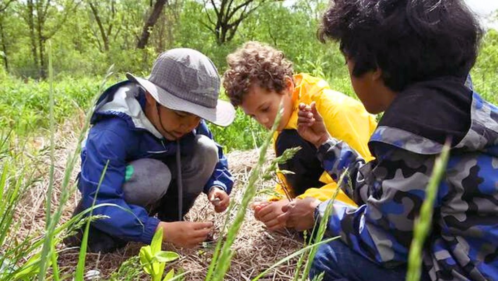 OISEUofT (@oiseuoft) on Twitter photo On Earth Day, help OISE build stronger awareness of Indigenous perspectives and environmental education. Your gift <a href="/NaturlCuriosity/">Natural Curiosity</a> will help empower educators to integrate environmental and Indigenous education into their practice. Make a gift: bit.ly/3mX8b4L #TRC #UofT On Earth Day, help OISE build stronger awareness of Indigenous perspectives and environmental education. Your gift <a href="/NaturlCuriosity/">Natural Curiosity</a> will help empower educators to integrate environmental and Indigenous education into their practice. Make a gift: bit.ly/3mX8b4L #TRC #UofT