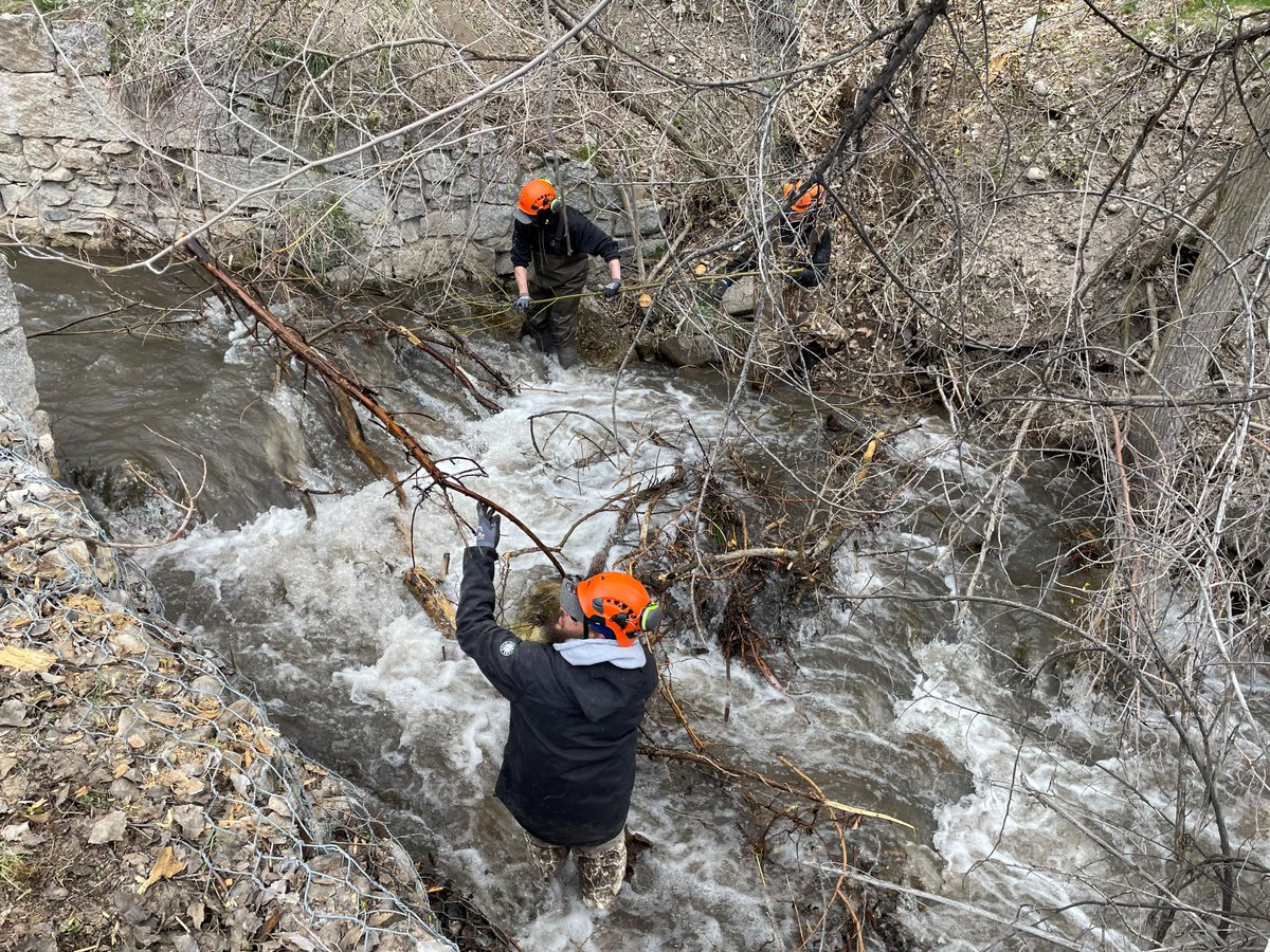 SLCPublicLands's tweet photo. Thank you, team. We are thankful for all of your hard work and dedication!
#SLC #SLCParks #SLCPublicLands https://t.co/QUWJnNM9yC