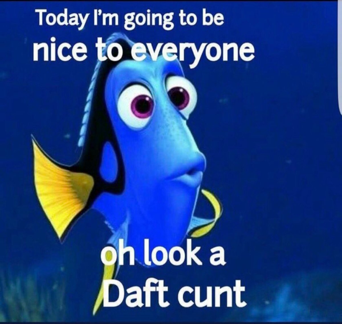 Jack Wolfskin tweet media