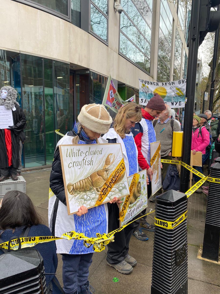 We took the Wye to Westminster to highlight it’s plight - with the message to increase Environment Agency funding, stop IPUs, and Avara Cargill to pay reparations for the damage they knowingly have done the river #ExtinctionRebellion #TheBigOne #savethewye #defra #riverWye