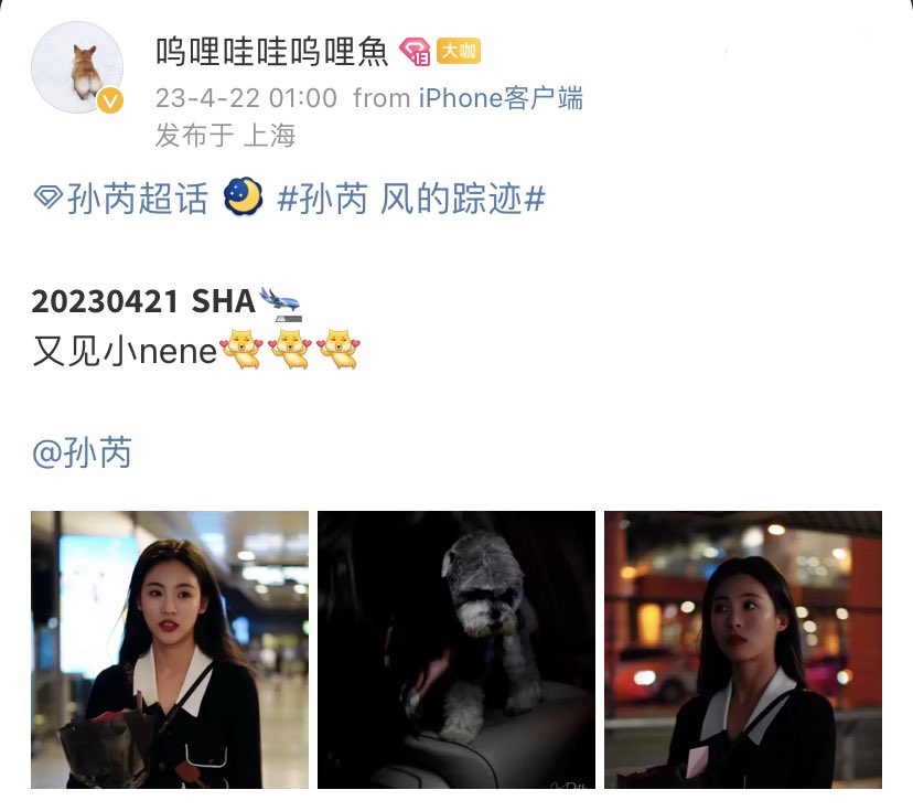sunrui_three's tweet photo. -21042023-

🔗 https://t.co/KnhFDLZIJL

cr. 呜哩哇哇呜哩鱼

#孙芮 #SUNRUI https://t.co/JfhCPAeRwE