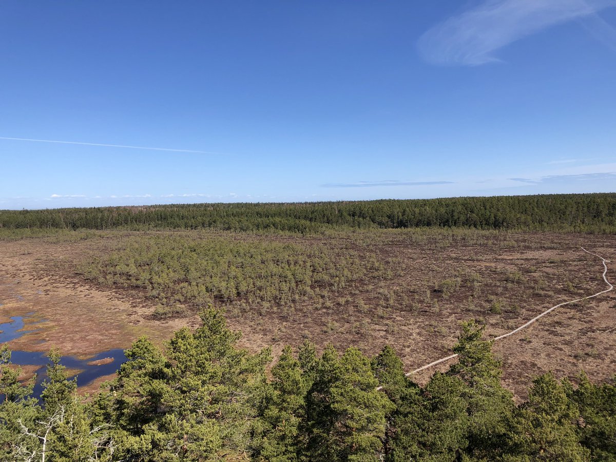 ozlem_canel's tweet image. #Vitality day with the team - hiked around the #bogs , had a wonderful lunch at the seaside and said #goodbye to our dear colleague @MartinvB2 - take care and all the best in Kyviv!