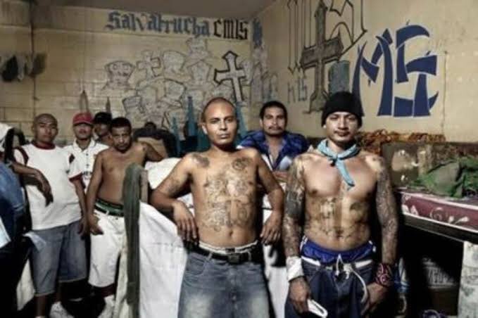 CiroDi's tweet photo. 🔻Lo que nos faltaba. Los líderes de la sangrienta pandilla de la Mara Salvatrucha huyen de El Salvador 🇸🇻 (donde si les aplican la ley) y se refugian en México, y son cobijados por la Unión Tepito en el Valle de México https://t.co/fkEB4FBDw9