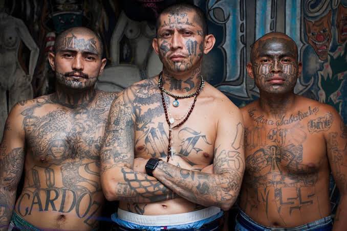CiroDi's tweet photo. 🔻Lo que nos faltaba. Los líderes de la sangrienta pandilla de la Mara Salvatrucha huyen de El Salvador 🇸🇻 (donde si les aplican la ley) y se refugian en México, y son cobijados por la Unión Tepito en el Valle de México https://t.co/fkEB4FBDw9