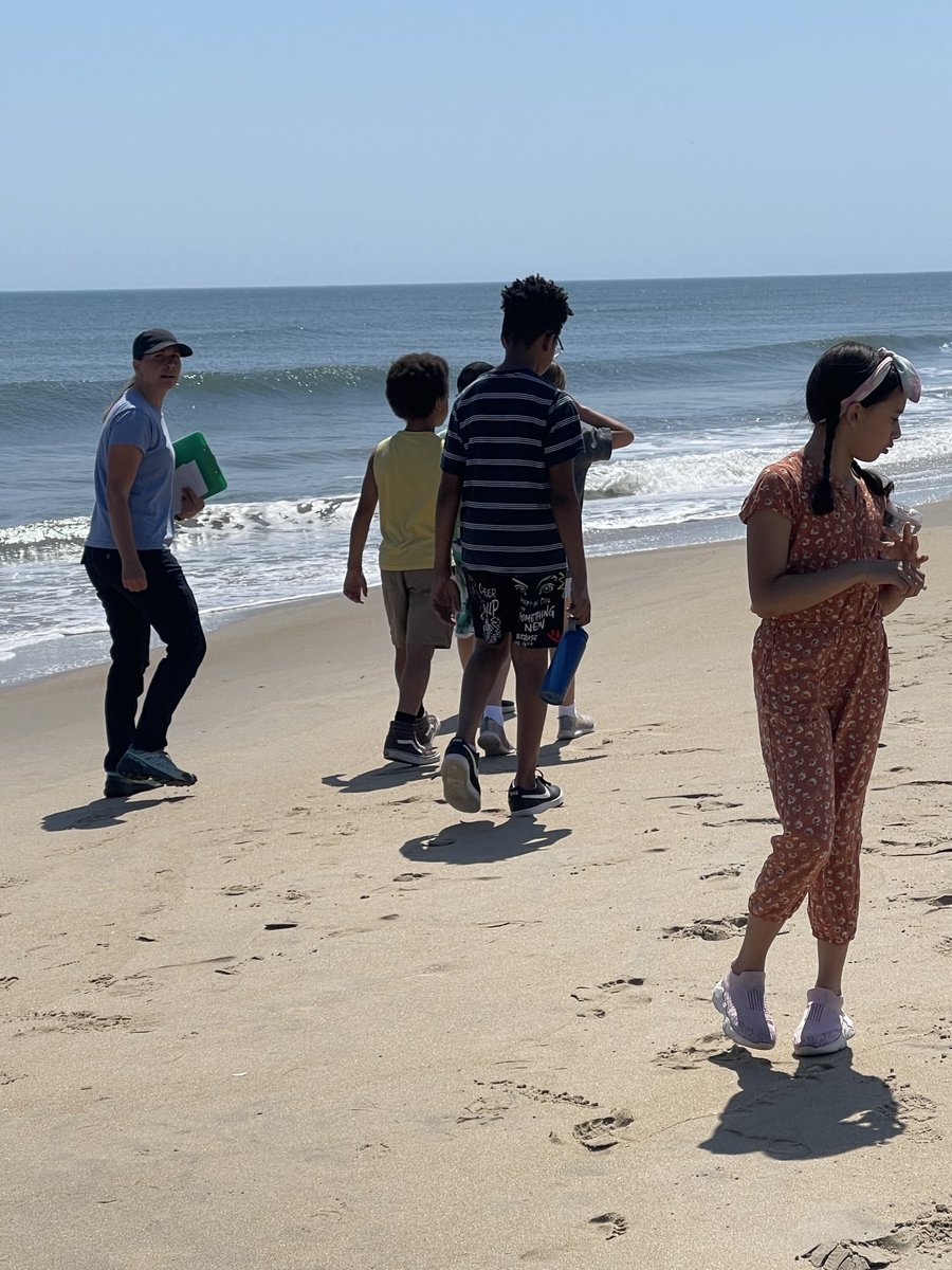 LoveTeachInspire (Kristi Hingerty, Ed.D) (@khingerty) on Twitter photo Young Environmental Scientists learning about sea turtle eggs & other sealife at BBNWR. There were minnows, tadpoles and so much more for these Ss to see <a href="/BNESeagles/">BirdneckES</a> <a href="/VBTitleI/">Title I VBCPS</a> <a href="/VBEnvStudies/">VBCPS Environmental Studies Program</a> #VBRippleEffect Young Environmental Scientists learning about sea turtle eggs & other sealife at BBNWR. There were minnows, tadpoles and so much more for these Ss to see <a href="/BNESeagles/">BirdneckES</a> <a href="/VBTitleI/">Title I VBCPS</a> <a href="/VBEnvStudies/">VBCPS Environmental Studies Program</a> #VBRippleEffect