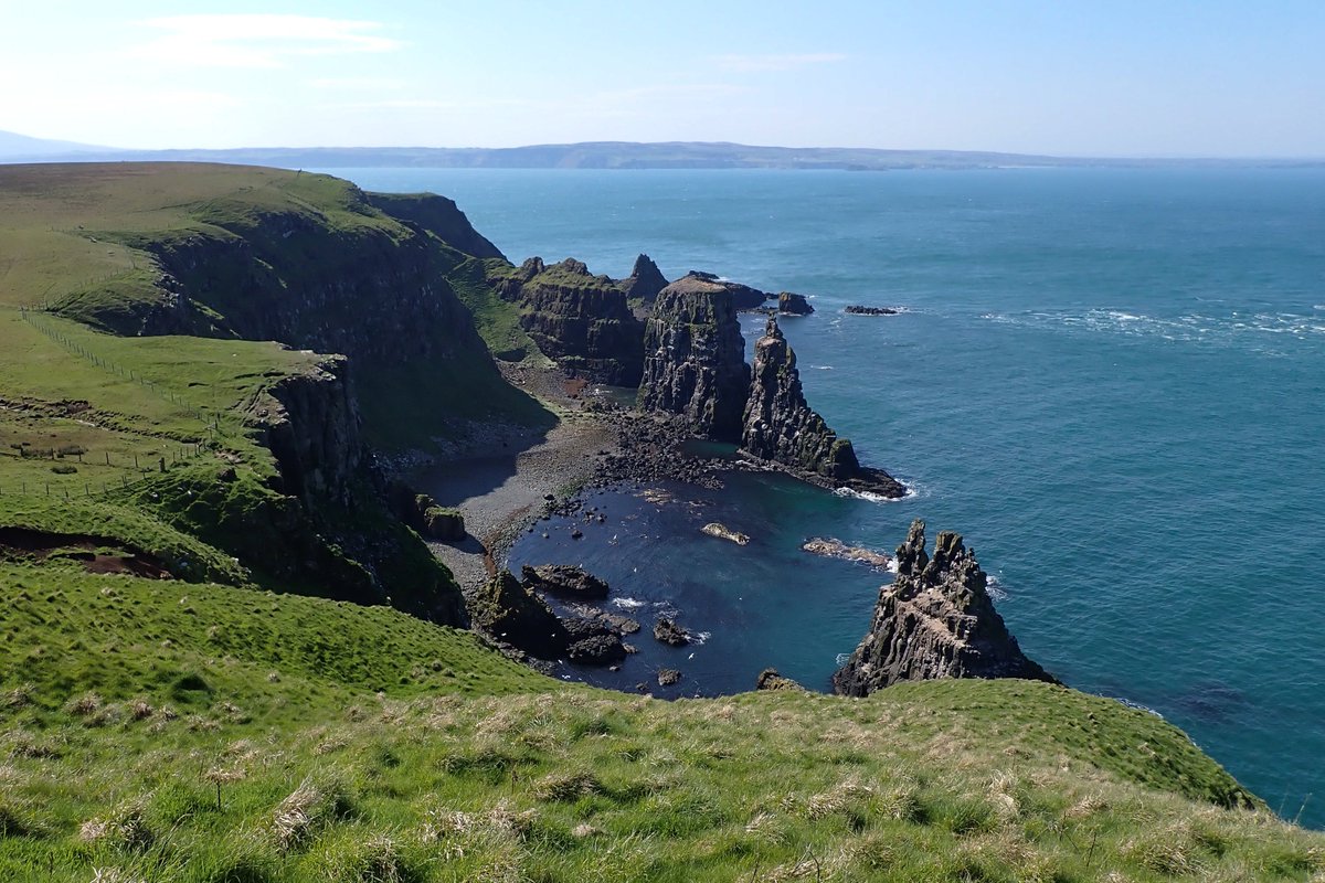 Fantastic views of a young Peregrine Falcon at the Rathlin West Light Seabird Centre today, sitting on the cliffs high above the seabird colony while curious Fulmars cruised close by. Nobody was quite ready for what happened next...
