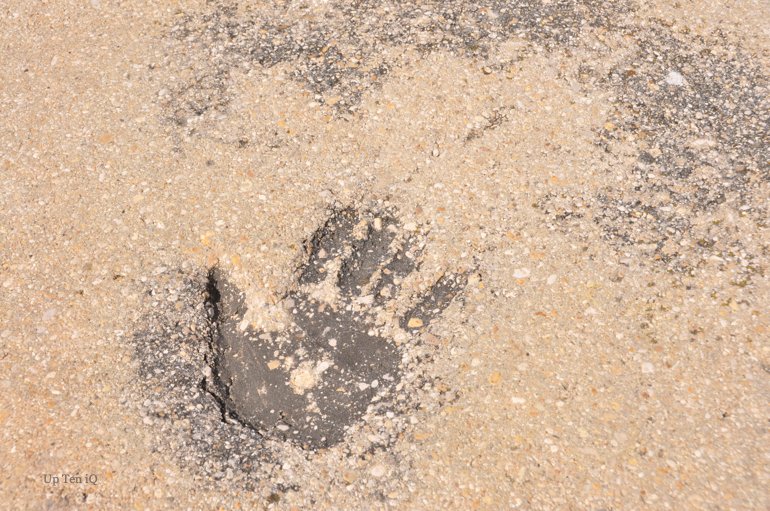 #Up_Ten_iQ ☞ #trois_troupeaux
sooforme.tumblr.com/post/714946700…