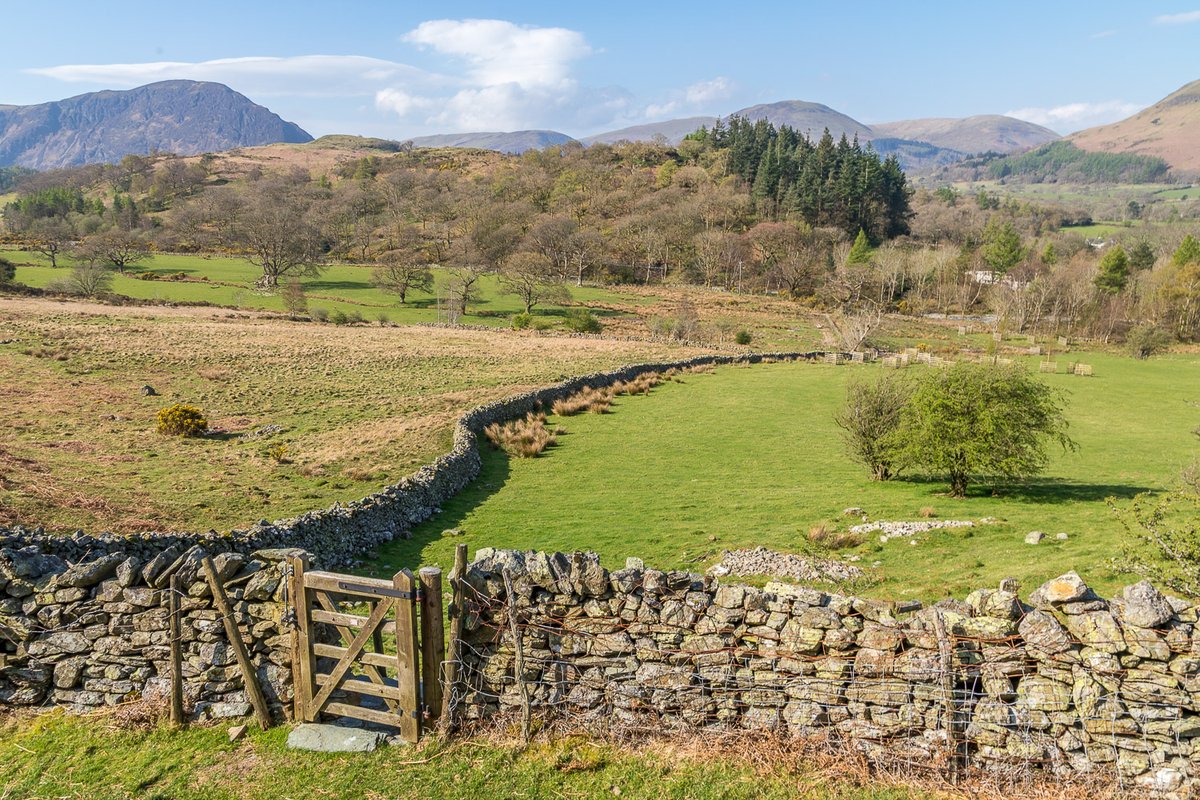 andrewswalks's tweet photo. Good to be back on these favourite paths today #Cumbria https://t.co/PG0SuyOYXO