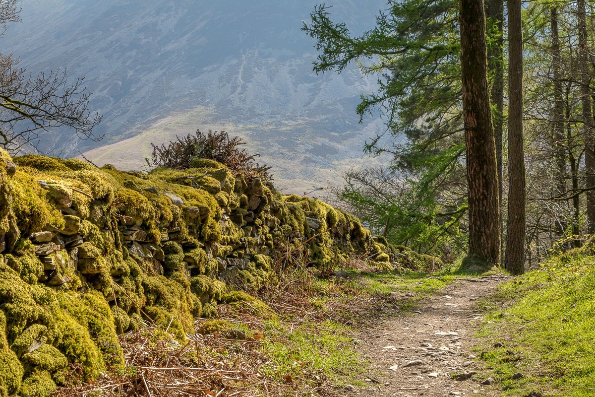Good to be back on these favourite paths today #Cumbria