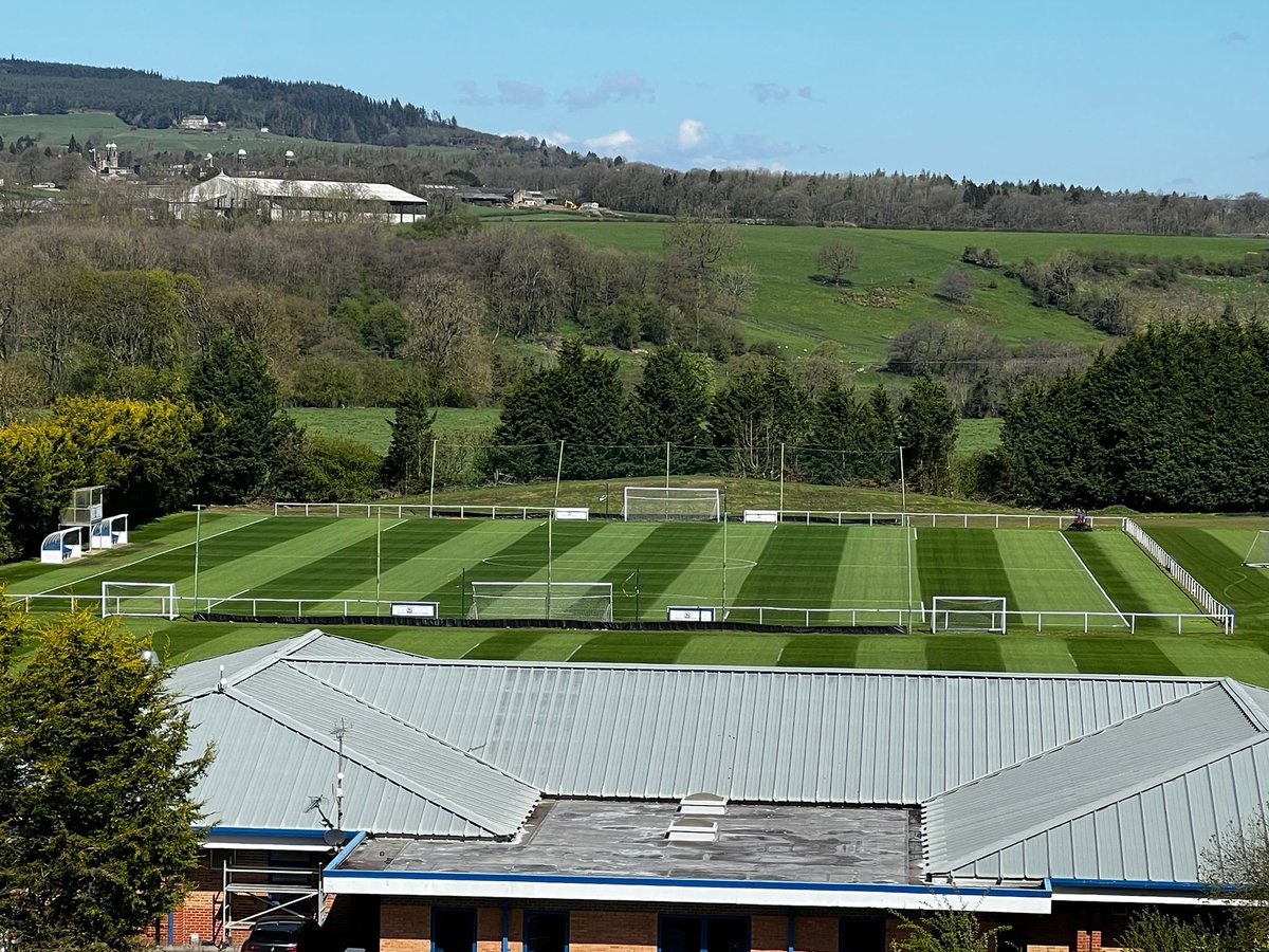 David pollitt tweet media