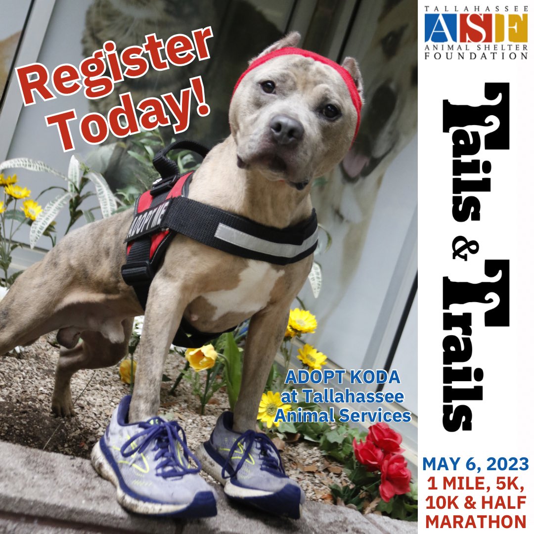 ASFTally's tweet image. We're officially 15 days away from #TailsandTrails &amp;amp; adoptable Koda from @COTAnimals is here to check-in on your training &amp;amp; offer inspiration to those who may be on the struggle bus. Register at runsignup.com/Race/FL/Tallah… #runhappy #walk #5k #10k #halfmarathon #1mile #tallahassee