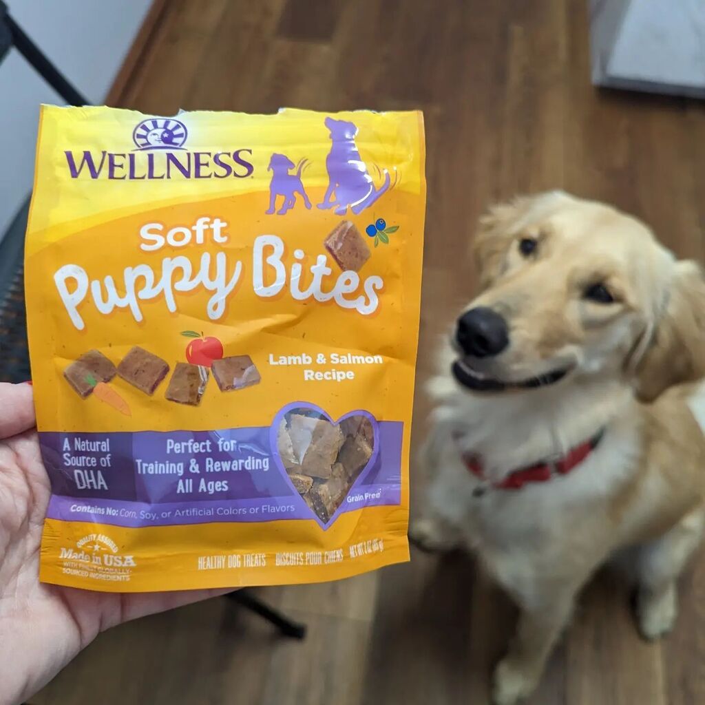 Semper K9 (@semperk9) on Twitter photo Thank you <a href="/wellnesspetfood/">Wellness Pet Food</a> for supplying premium dog food & training treats for our future service dogs! Check out our IG stories to find out more information! We are grateful to have #wellnesspetfood as the nutrition for our life-changing #servicedogs. … instagr.am/p/CrTl8NorfMZ/ Thank you <a href="/wellnesspetfood/">Wellness Pet Food</a> for supplying premium dog food & training treats for our future service dogs! Check out our IG stories to find out more information! We are grateful to have #wellnesspetfood as the nutrition for our life-changing #servicedogs. … instagr.am/p/CrTl8NorfMZ/