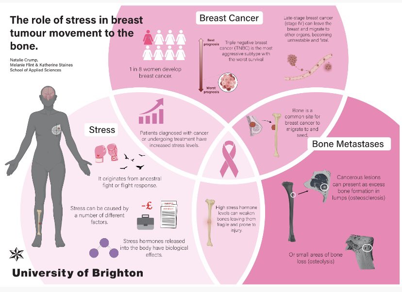 Natalie Crump tweet media