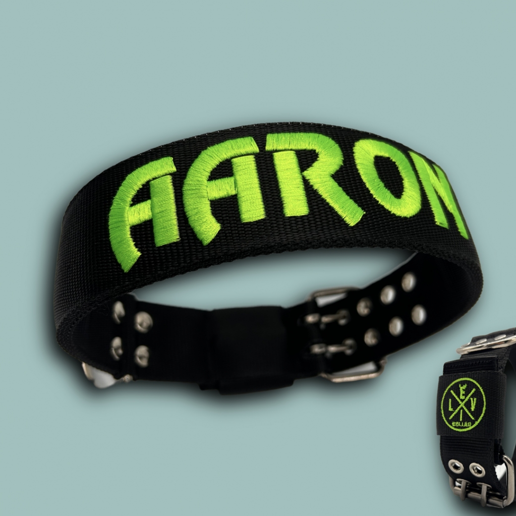 EvilCollar's tweet photo. Rendi il tuo Cane l'invidia del quartiere grazie a un Collare fatto su misura per lui! Scegli tra le infinite opzioni di personalizzazione disponibili >>🎯 https://t.co/Vz6saNbQ0E https://t.co/QMJ4r7bh4m