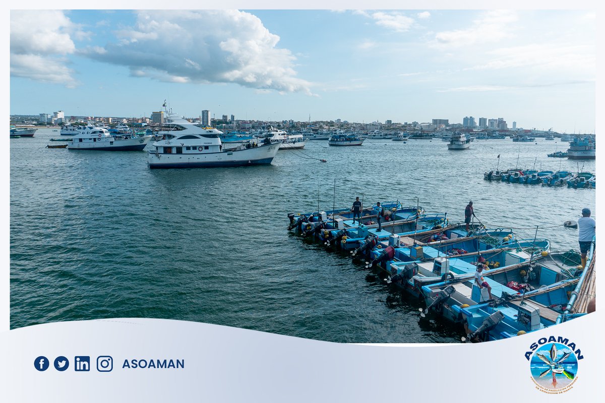 ASOAMAN1's tweet photo. Desde los alrededores de nuestro apreciado muelle de Manta.📷
#Asoaman #Muelle #Manta #Postal https://t.co/Pq5HFpefxL