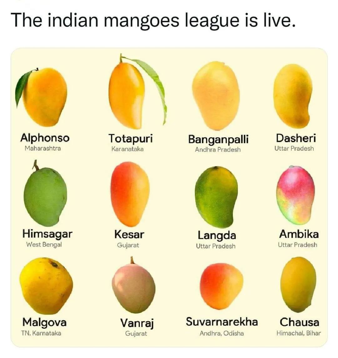 Mango lovers hit the comment section and tell me your favourite mango 🥭

#mangorecipes #mangomango #mango #summervibes #summerfruit #summertime #summerrecipes #mangolover #indianblogger #indianfruits #fruits #food #commentbelow #fridayfood #favourite #favourtiefood #Chefkunal