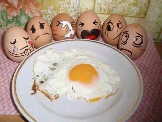 cieudy's tweet photo. Breakfast anyone? https://t.co/i2V8FmyNW2