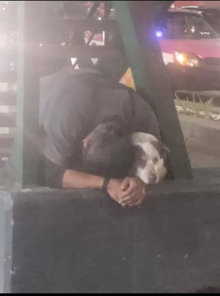 Unidos_Buscando's tweet photo. 🔴REGRESEN A TITO🔴

Cuando decimos que “Toda vida vale” incluye también a la gente que vive en situación de calle. el rescate es tan noble como visceral porque no hay leyes que lo regulen. Ya han contado la historia del humano de Tito y las circunstancias que… (1/2) https://t.co/lFuO0C8Trb