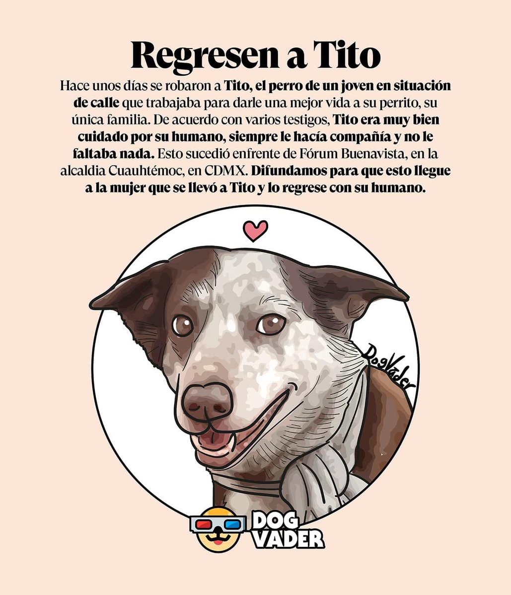 Unidos_Buscando's tweet photo. 🔴REGRESEN A TITO🔴

Cuando decimos que “Toda vida vale” incluye también a la gente que vive en situación de calle. el rescate es tan noble como visceral porque no hay leyes que lo regulen. Ya han contado la historia del humano de Tito y las circunstancias que… (1/2) https://t.co/lFuO0C8Trb