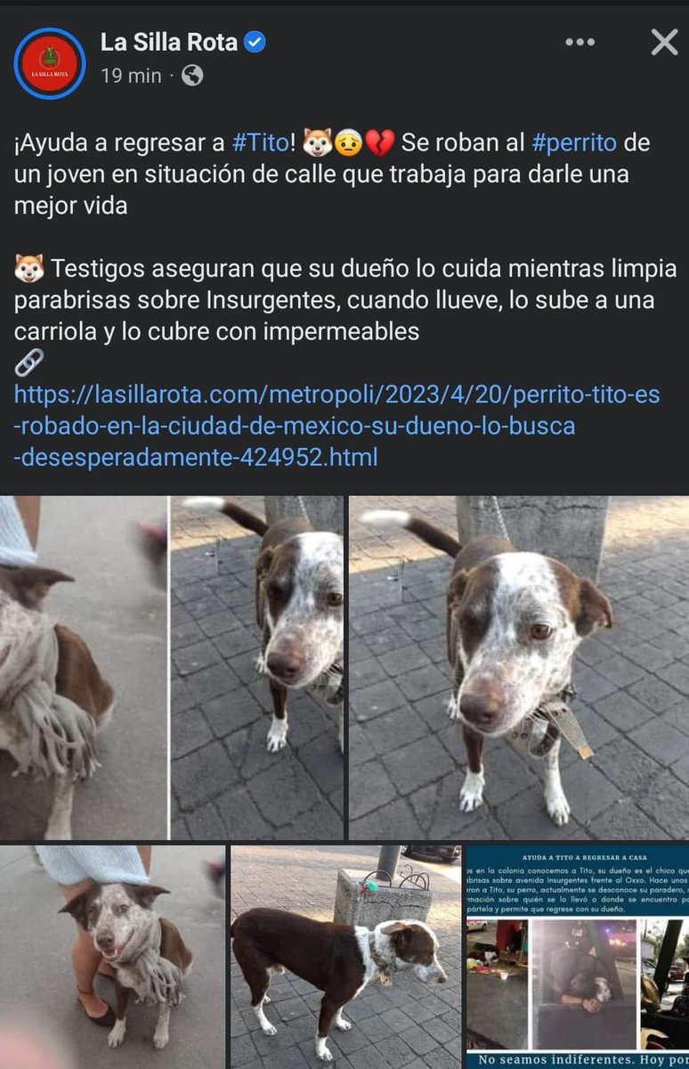 Unidos_Buscando's tweet photo. 🔴REGRESEN A TITO🔴

Cuando decimos que “Toda vida vale” incluye también a la gente que vive en situación de calle. el rescate es tan noble como visceral porque no hay leyes que lo regulen. Ya han contado la historia del humano de Tito y las circunstancias que… (1/2) https://t.co/lFuO0C8Trb