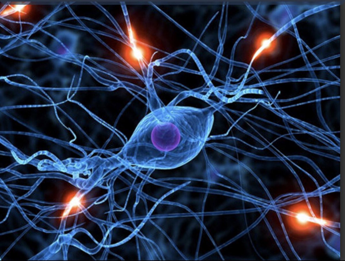 NielsEjskjaer's tweet photo. Hot off the press: The 7th #MEDONproject #Diabetes #Neuropathy publication:
“Changes in cognitive function in T1DM, in pursuit of prevention/management, huge needs”
▶️ FULL TEXT https://t.co/N5QefsGxJh
▶️ https://t.co/GE9auT9JsY
- #StenoNord #SDCN @AalborgUH @Reg_Nord @Reg_Nord https://t.co/sBdXLTZlvr