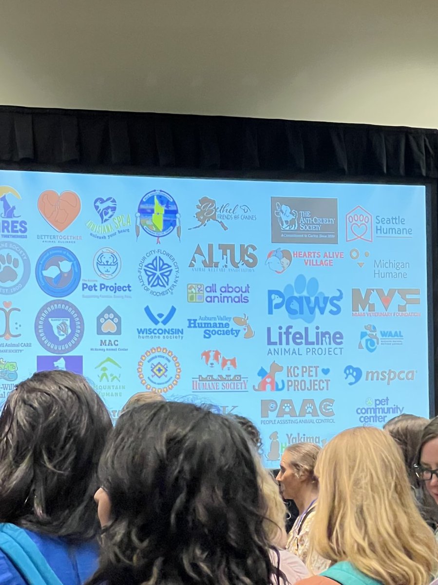 MiamiVetFoundation tweet media