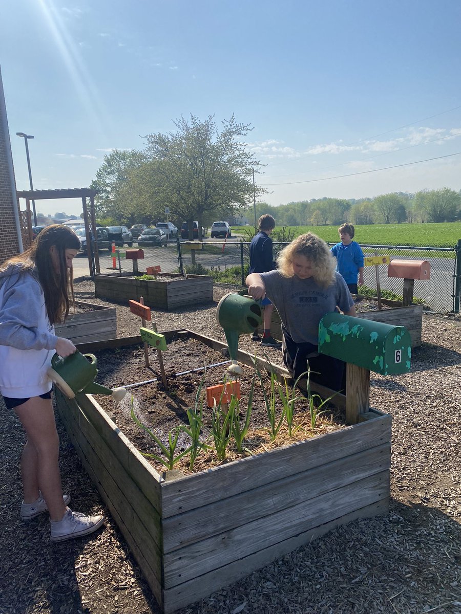 hannahbteacher's tweet photo. We had an awesome time working in our garden today!! We did some weeding and watering, and I Was quite impressed with the work ethic and technique of these students!! So much fun!🌞🌻🌸🌳🪴🌷🌈☀️ https://t.co/tzGYzzn9vo