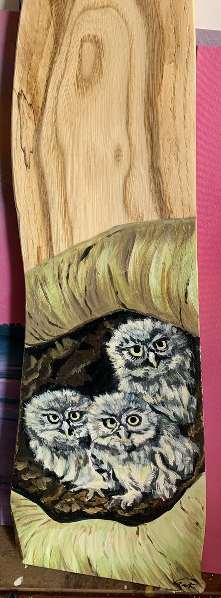 k88gater's tweet photo. @FogleBird Just painting some like your fabulous filming (though not as good) 😊 https://t.co/e0xR1F6Iur