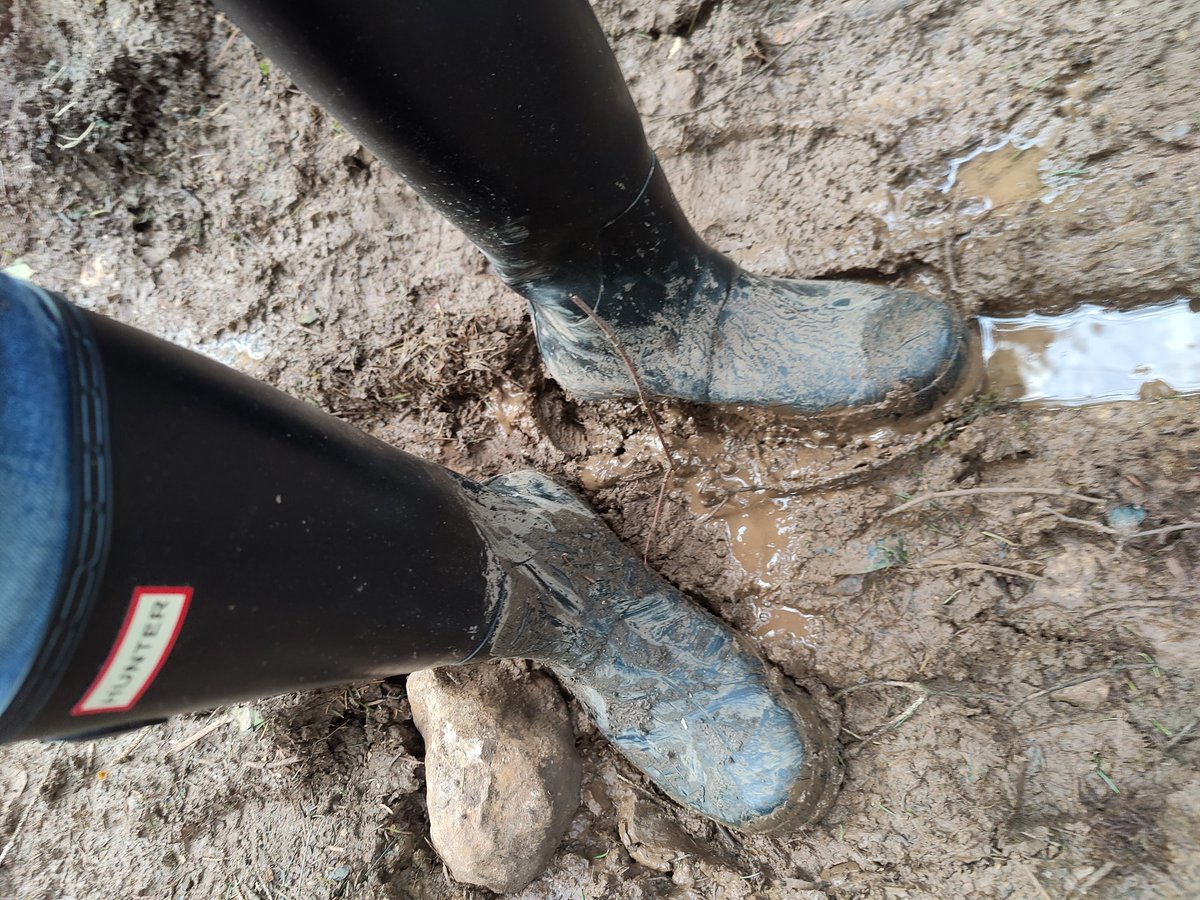 alpinestars_sidi tweet media