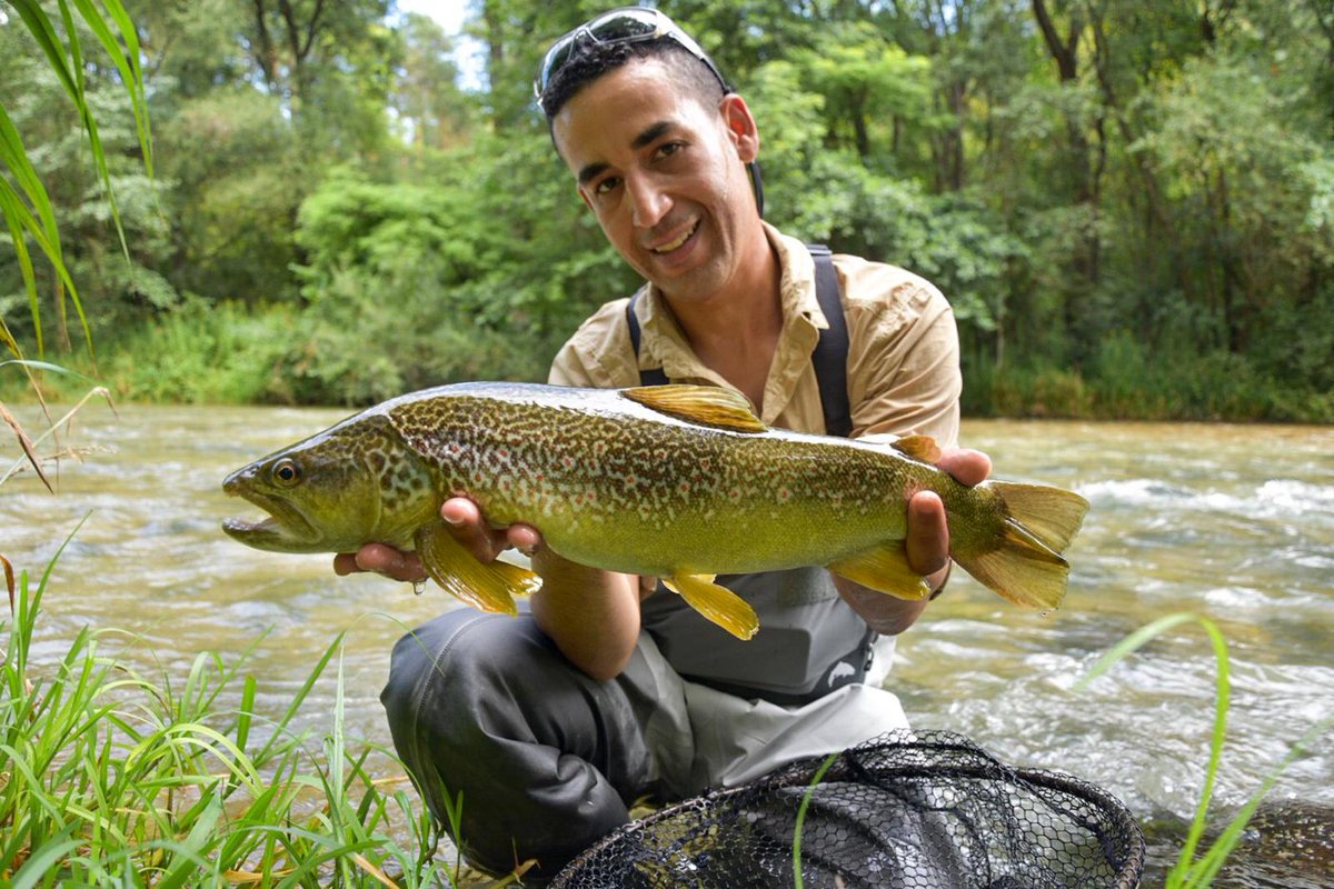 Saltwateronfly's tweet photo. Italian Fly Fishing Tours for the Adventure of a Lifetime
https://t.co/q3mQK4s1Em
:
#flyfishing #italy #europeanvacation #flyfishingitaly #italianflyfishingtour #travelandleisure #travelandtourism #onthefly #marbletrout #browntrout #italianalps https://t.co/jLl5e3KdQw