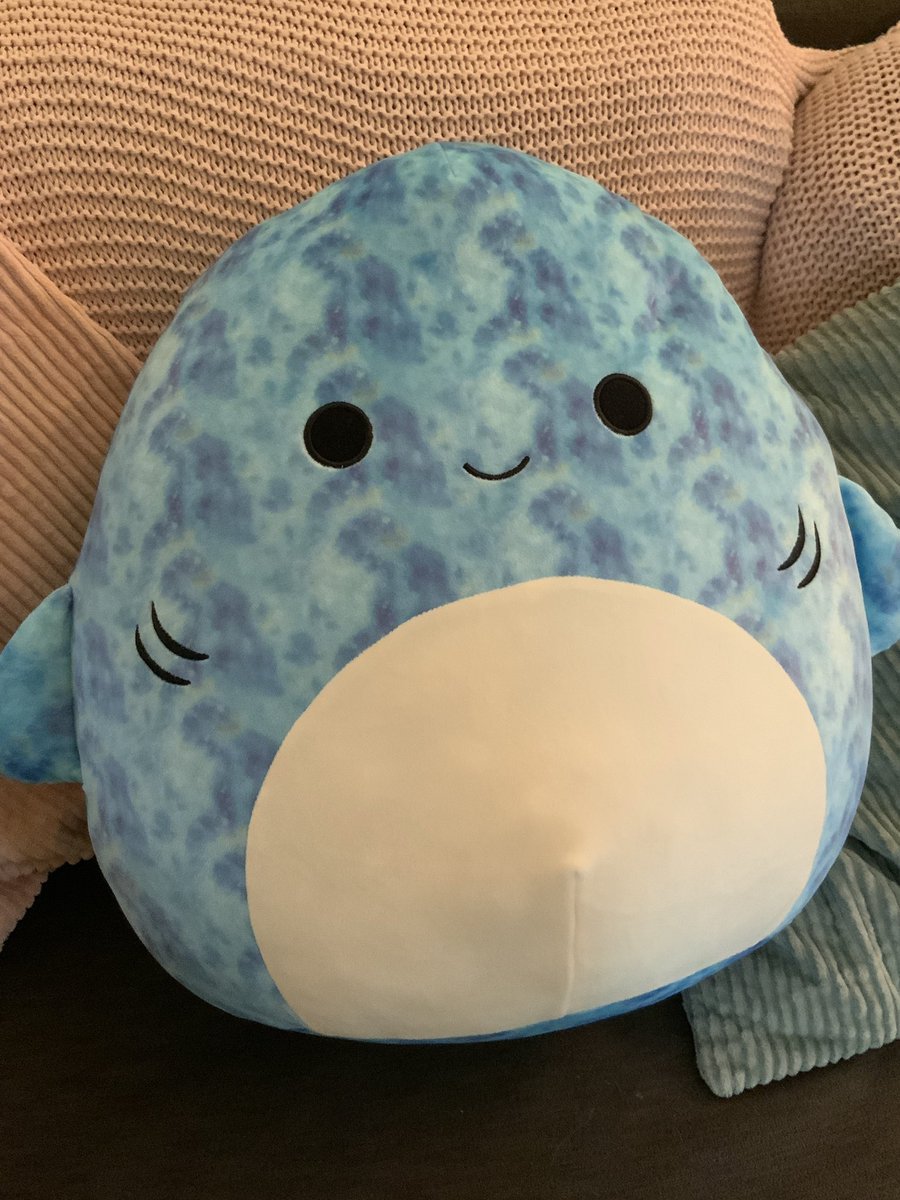 I kind realized I never posted a picture of them, meet Quinoa :]
(My first squishmallow)