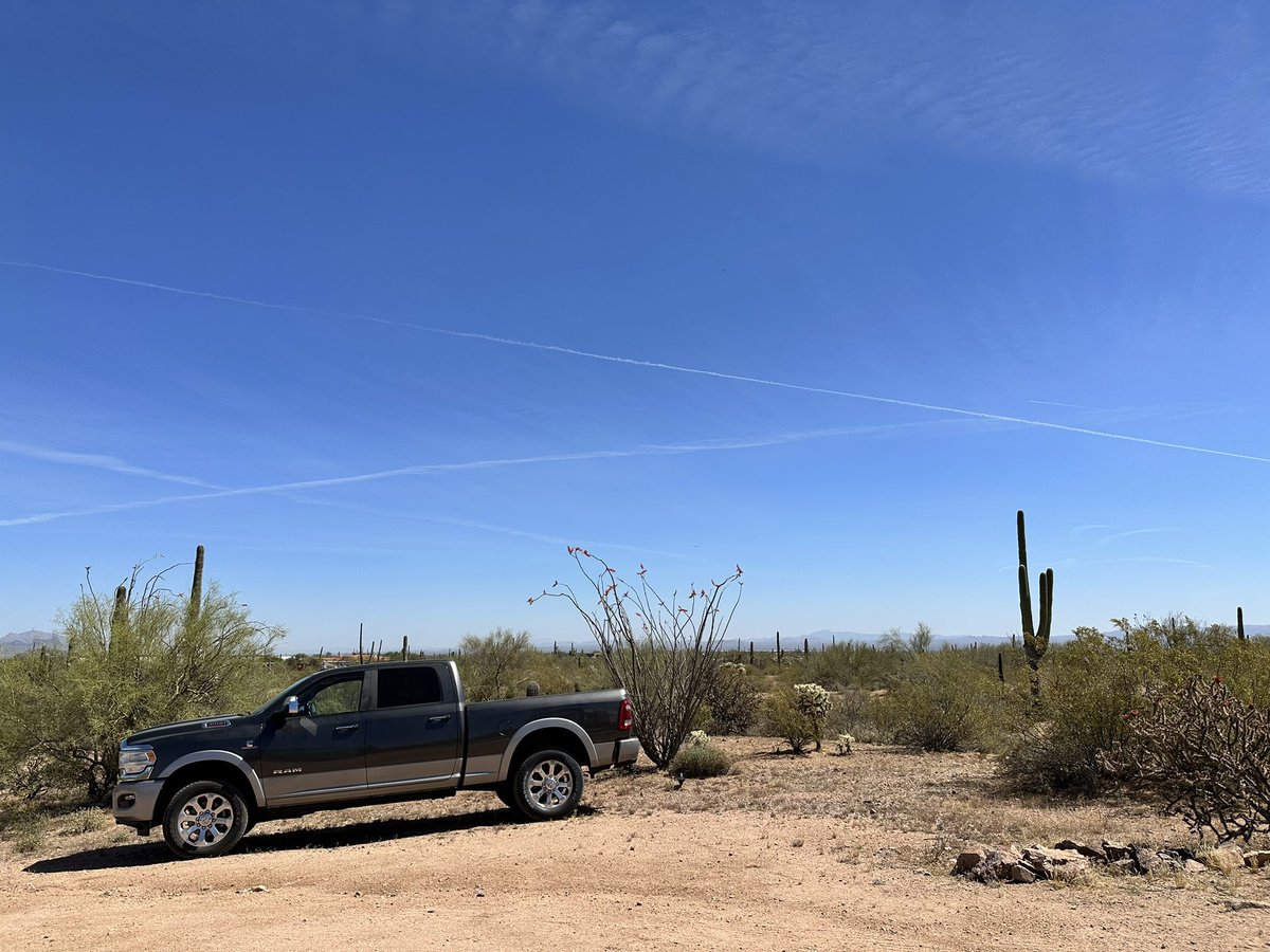 Kevin Pereira tweet media