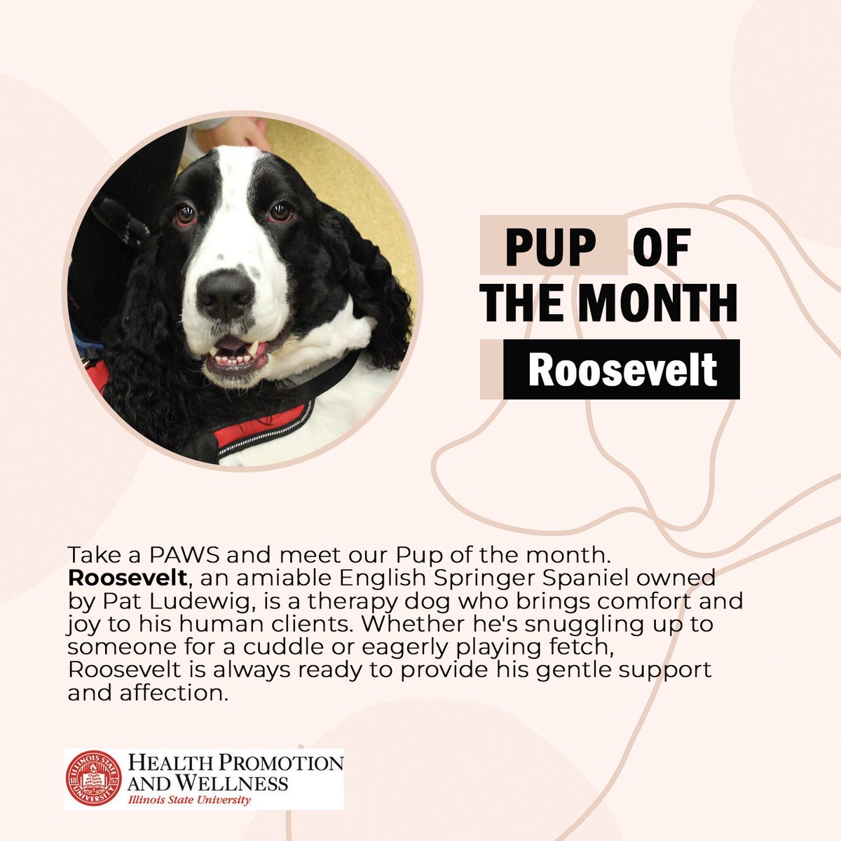 Redbird Well tweet media