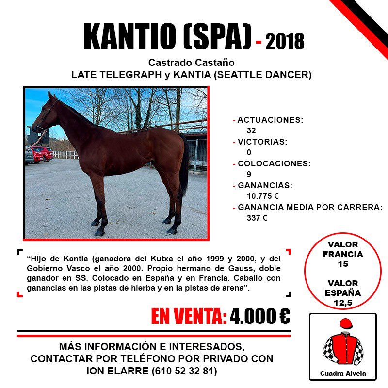 ion_elarre's tweet photo. Continúan a la venta por reducción de efectivos estos tres ejemplares. Interesados por privado. https://t.co/K3E44DBPUw
