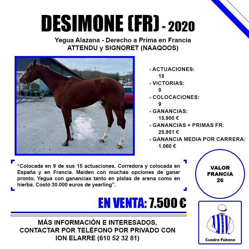ion_elarre's tweet photo. Continúan a la venta por reducción de efectivos estos tres ejemplares. Interesados por privado. https://t.co/K3E44DBPUw