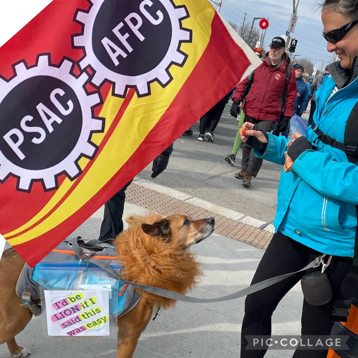 mrsAndreaPost's tweet photo. I wish this strike would “MUFASA” and
You gotta stand “FUR” what you believe in!
#teamwork @MonaFortier #collaboration #mentalhealth #strike @psac_afpc @ctvottawa, #tunneys @CBCOttawa https://t.co/sCnUWtpG8v