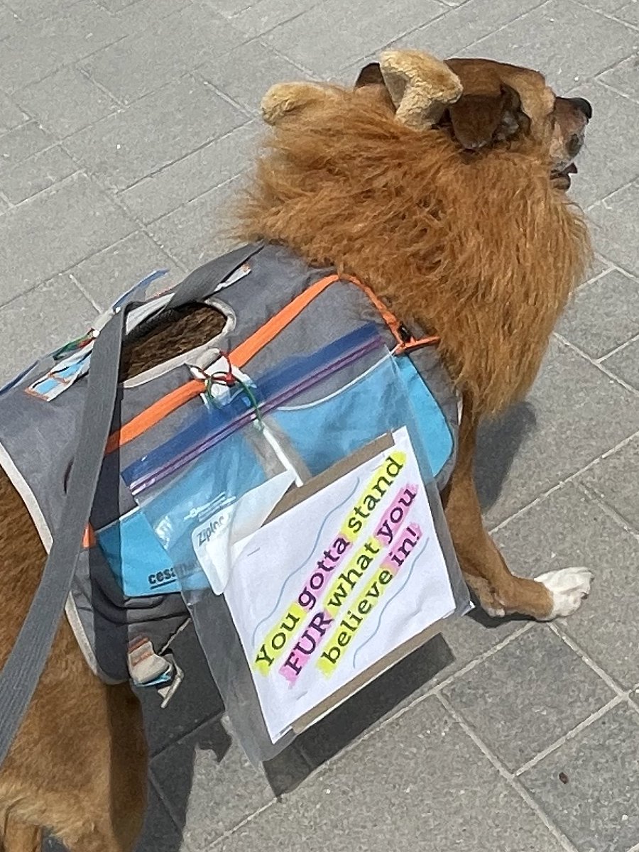 mrsAndreaPost's tweet photo. I wish this strike would “MUFASA” and
You gotta stand “FUR” what you believe in!
#teamwork @MonaFortier #collaboration #mentalhealth #strike @psac_afpc @ctvottawa, #tunneys @CBCOttawa https://t.co/sCnUWtpG8v