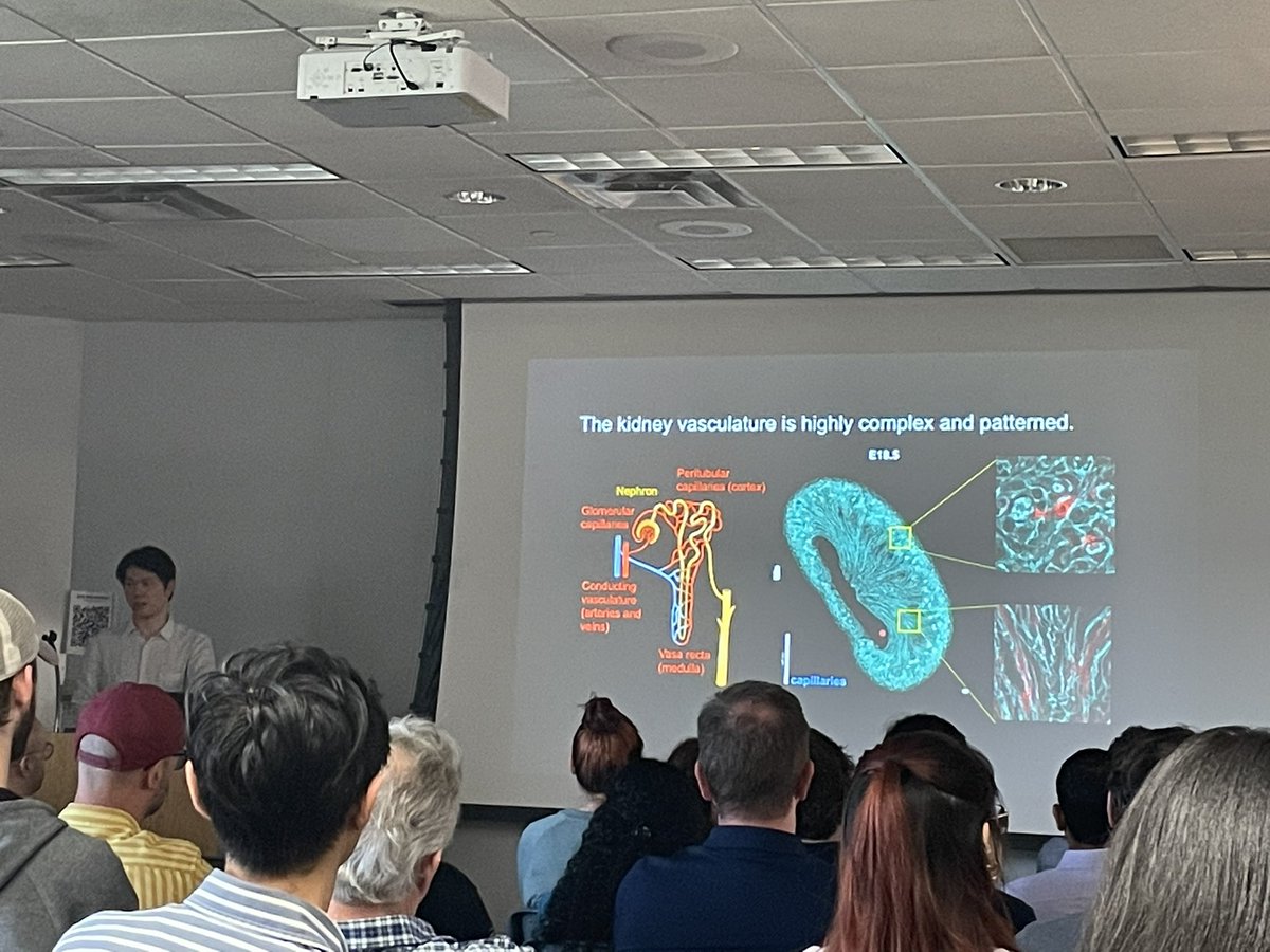 Cleaver Lab Trainees tweet media