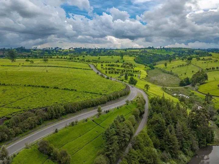 Africa View Facts on Twitter: 