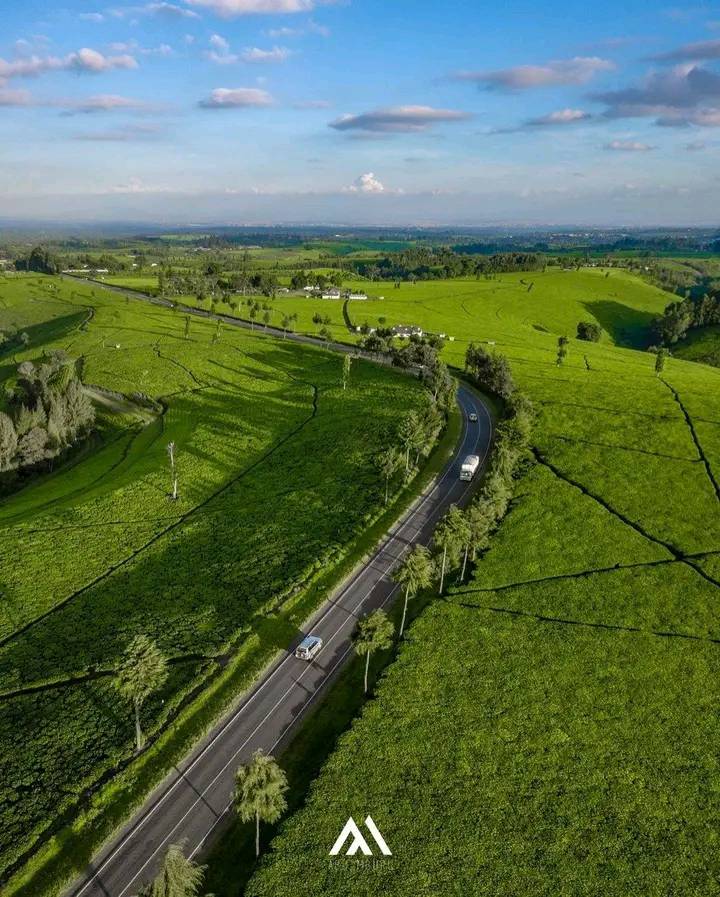 Africa View Facts on Twitter: 