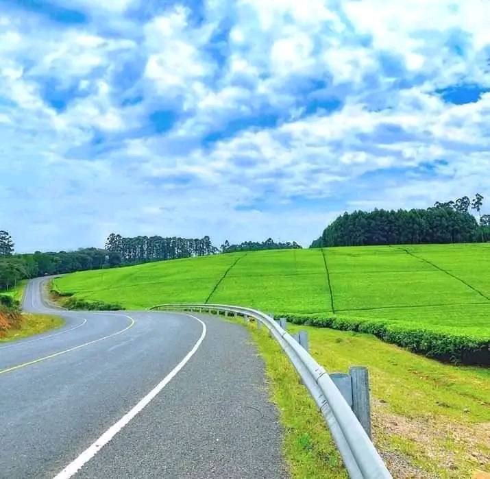 Africa View Facts on Twitter: 