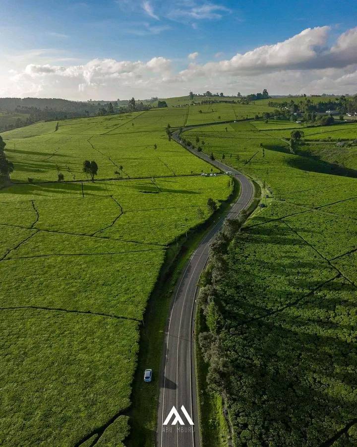 Africa View Facts on Twitter: 