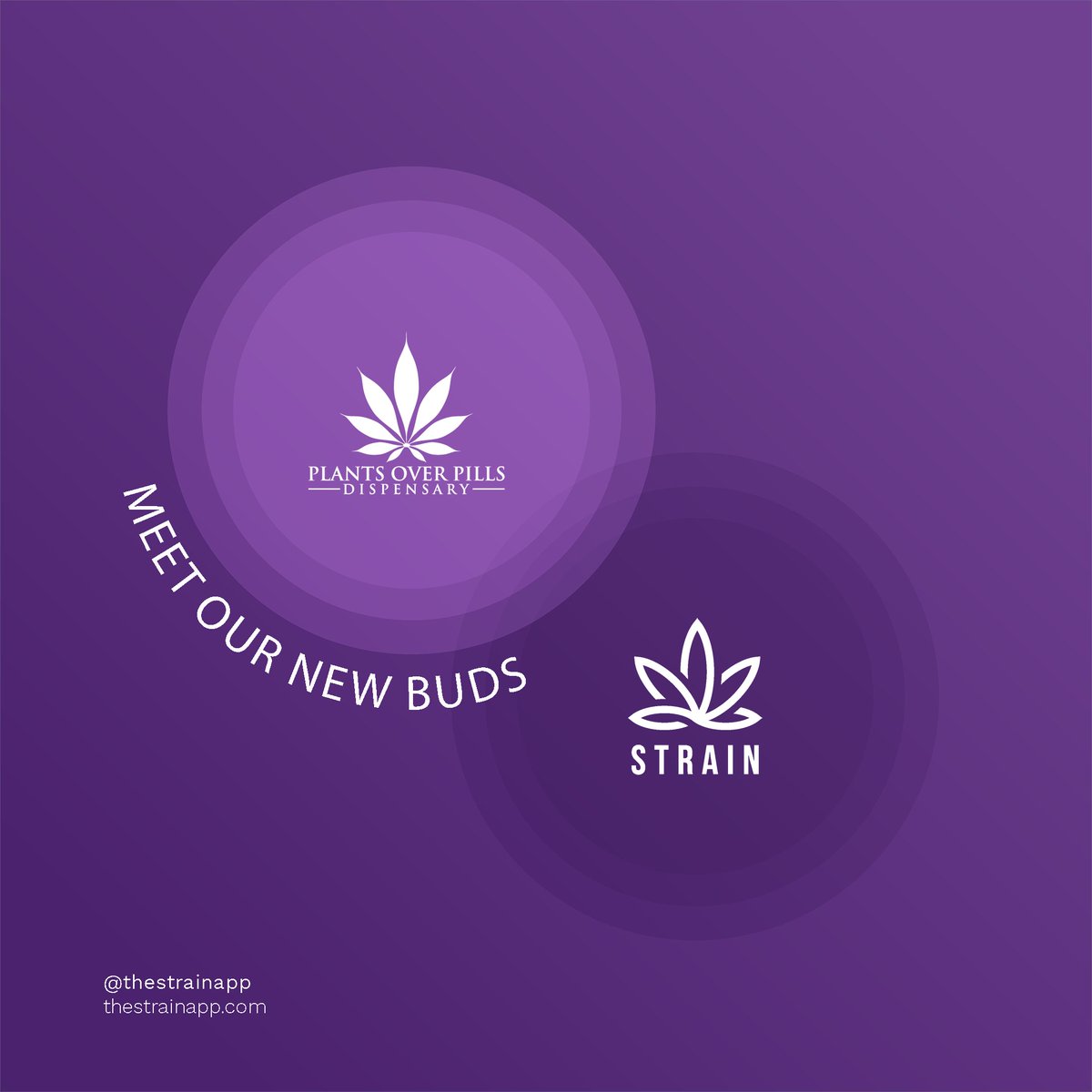 We welcome #PlantsOverPillsPr with a cannabic hug! 🌳🤗

Now you can place your orders right from their app. Check it out! 🤳

#STRAIN #Dispensaries #MobileApp