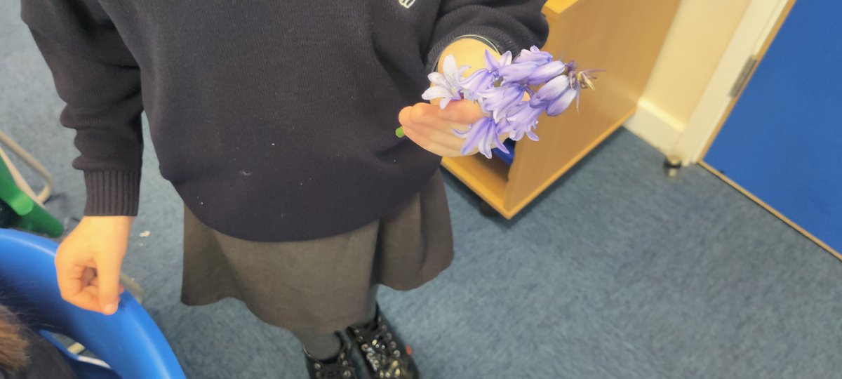 Year3Somers's tweet photo. This week, Year 3 went and explored and learnt about the different parts of a plant. Well done to everyone! https://t.co/TIOl9kttj8