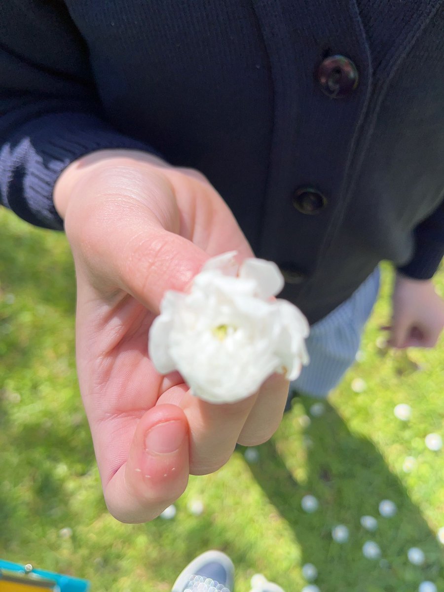 Year3Somers's tweet photo. This week, Year 3 went and explored and learnt about the different parts of a plant. Well done to everyone! https://t.co/TIOl9kttj8